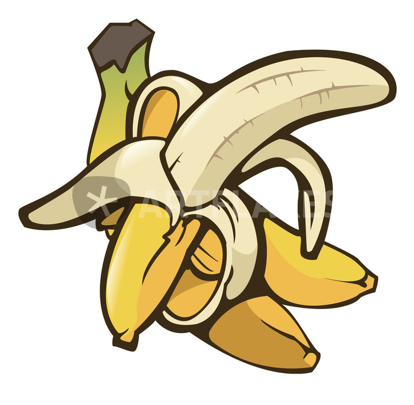 818x800 Bananas Drawing Art Prints And Posters By William Rossin