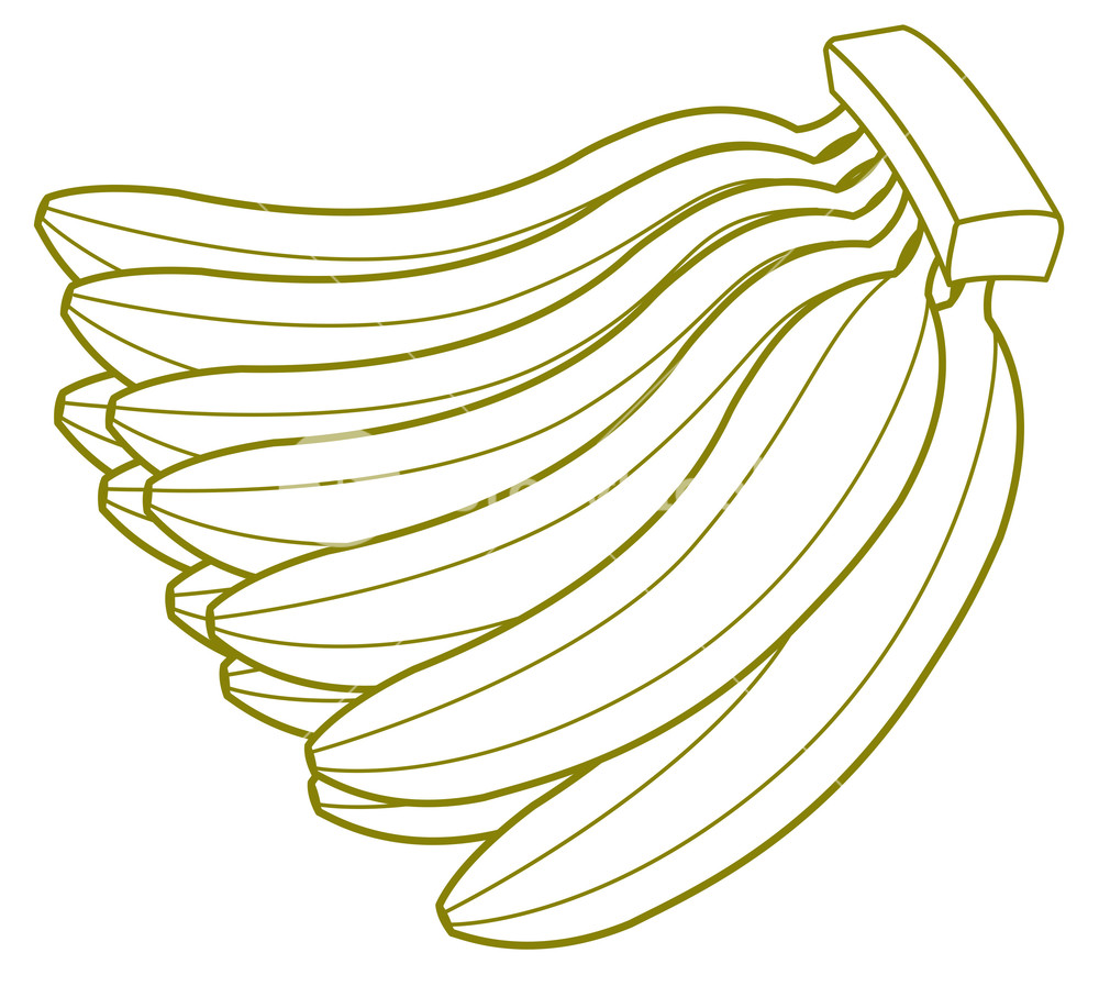 1000x897 Bunch Of Bananas Drawing Royalty Free Stock Image