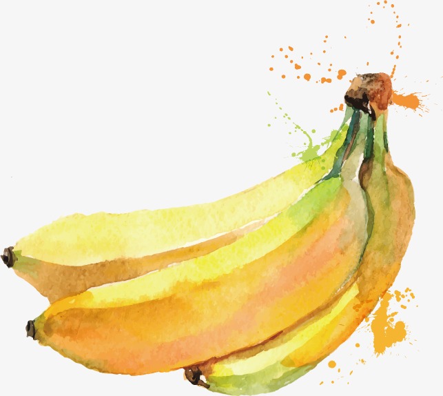 643x574 Drawing Bananas, Banana, Watercolor, Hand Painted Png And Vector