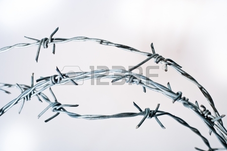 450x301 Five Pieces Of Barbed Wire Stock Photo, Picture And Royalty Free