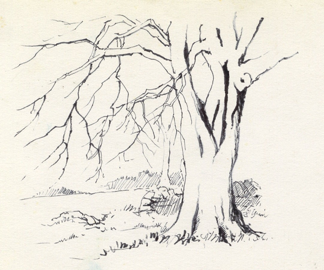 1081x900 Peter H. Brown