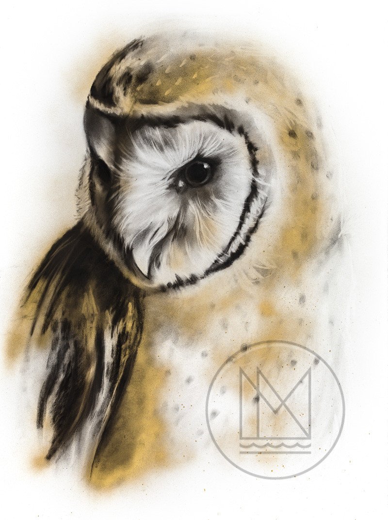 800x1073 Barn Owl Charcoal Drawing With Gold Spray Paint Highlights