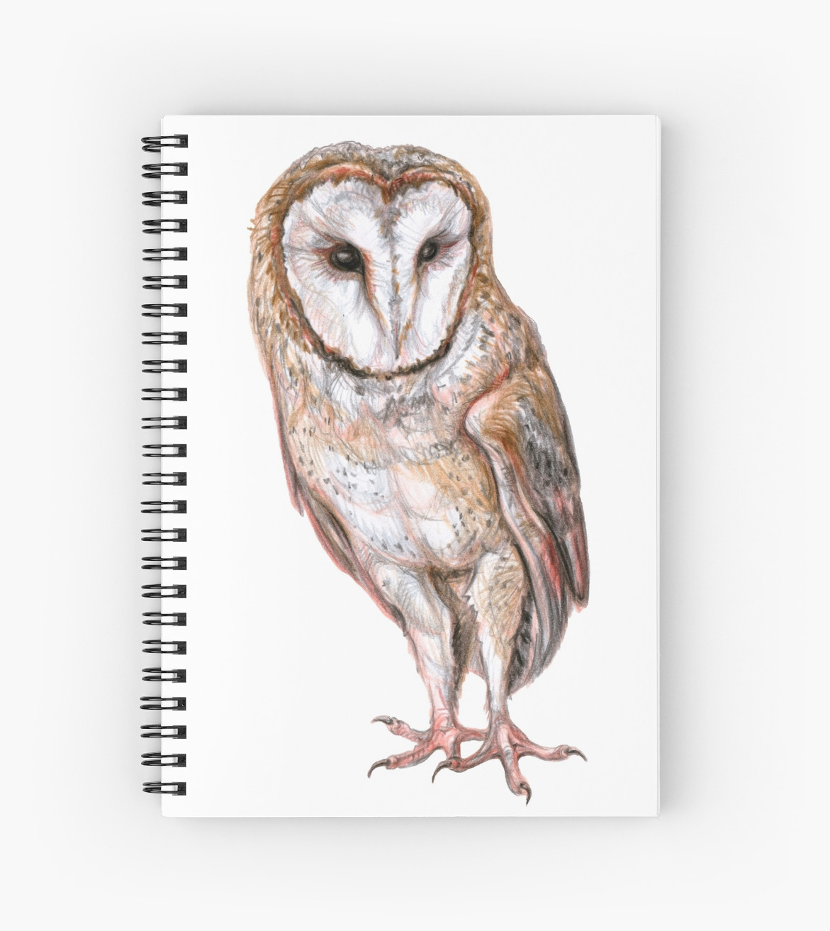 1171x1313 Barn Owl Drawing Spiral Notebooks By Stasia Ch Redbubble