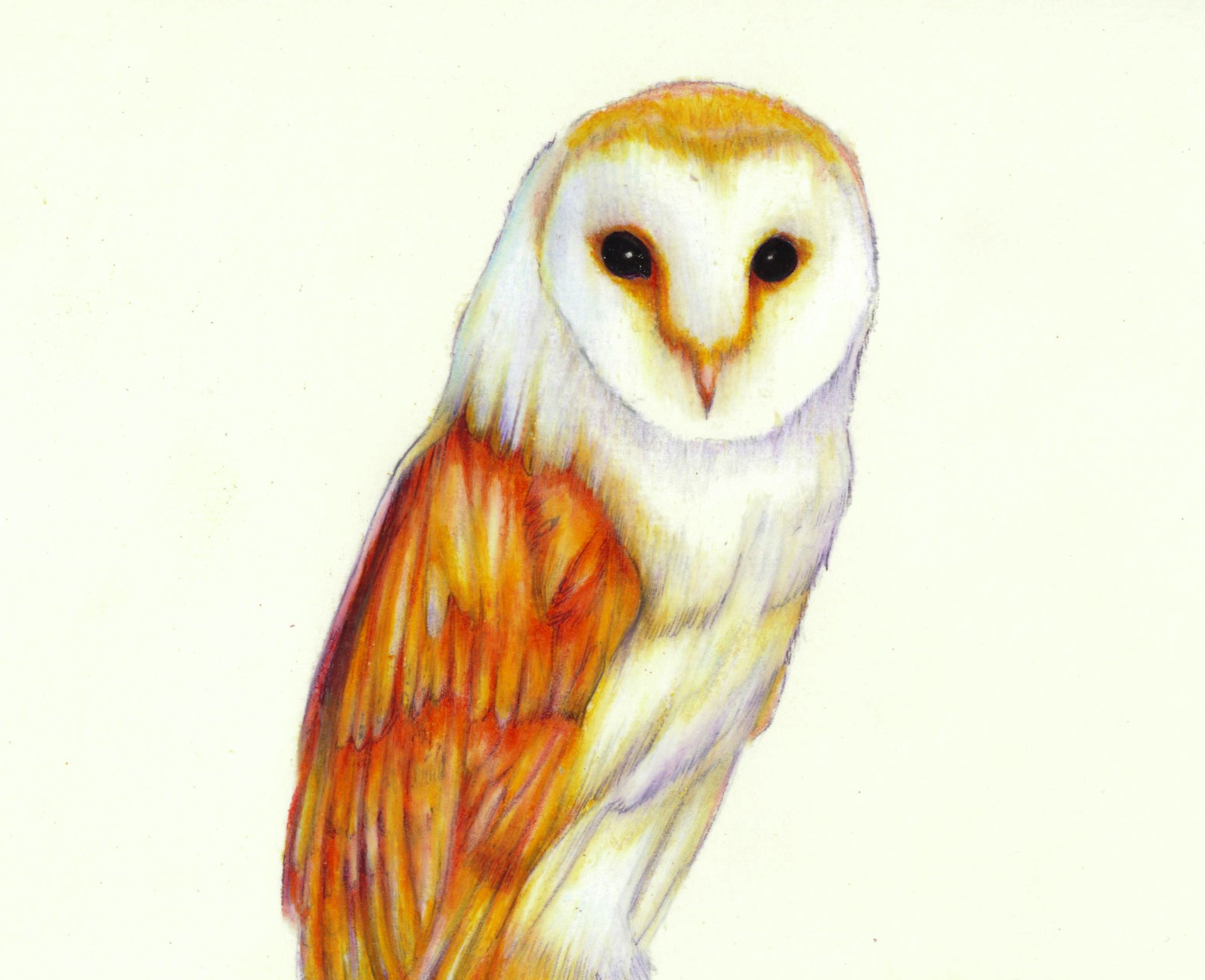 1556x1266 December 20, 2011