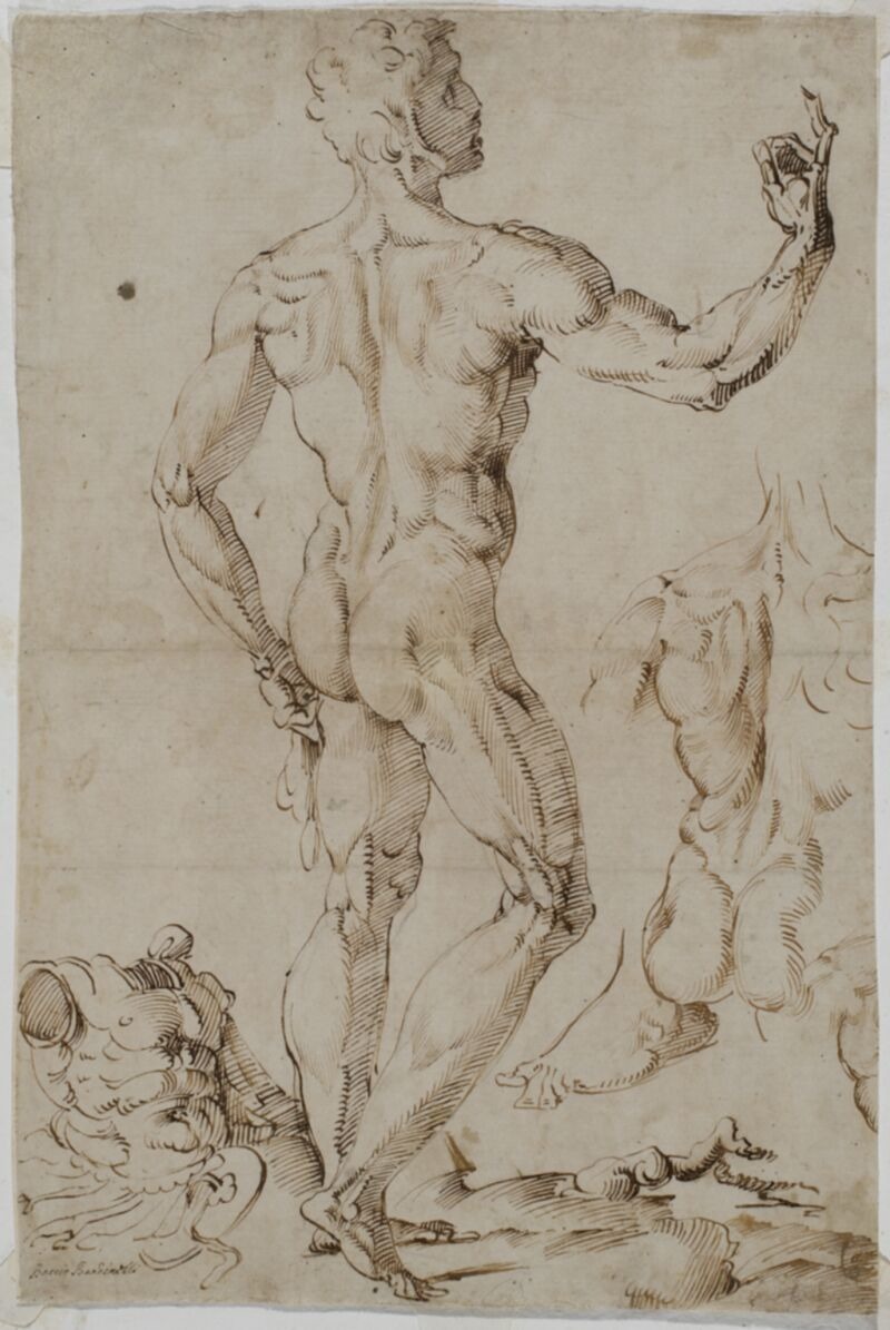 800x1195 Spencer Alley Renaissance And Baroque Figure Drawing From Italy