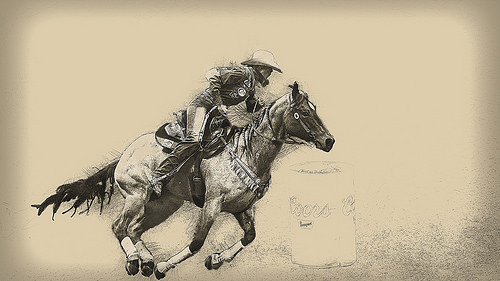 500x281 Iver Most Interesting Photos From Cowgirls, Cowdogs,