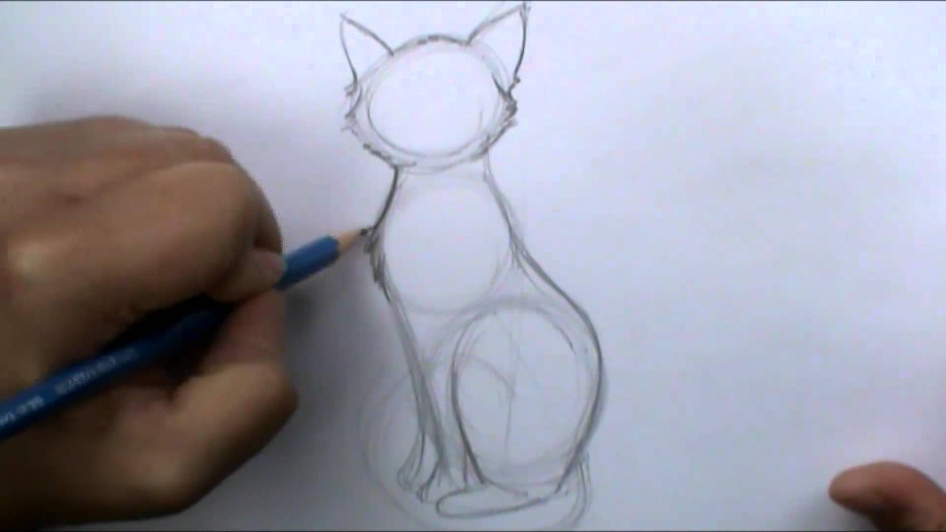 1920x1080 How To Draw A Basic Cat Sitting