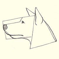 200x200 Animal Drawing Tutorial