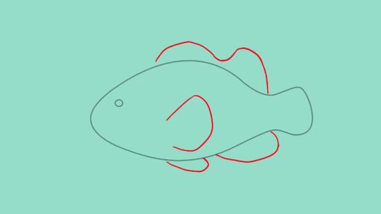 550x309 How To Draw A Clownfish 9 Steps (With Pictures)