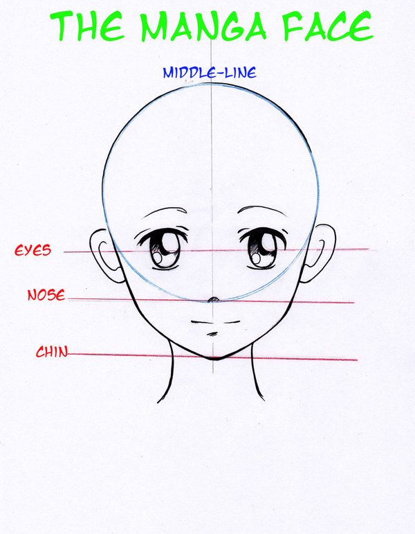 600x771 Manga Basic Head By ~nevaart How To Draw Male Anime Eyes
