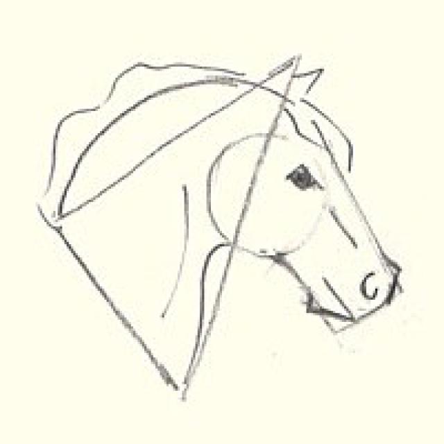 640x640 Learn How To Draw A Horse's Head Horse, Detail And Draw