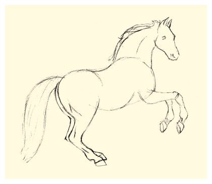 420x363 Horse Drawing