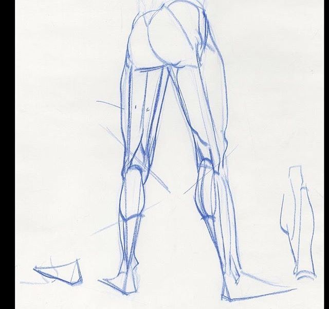 640x601 15 Best Life Drawing Inspiration Will Weston Images