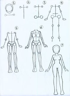 236x324 Human Anatomy Fundamentals Basic Body Proportions Draw