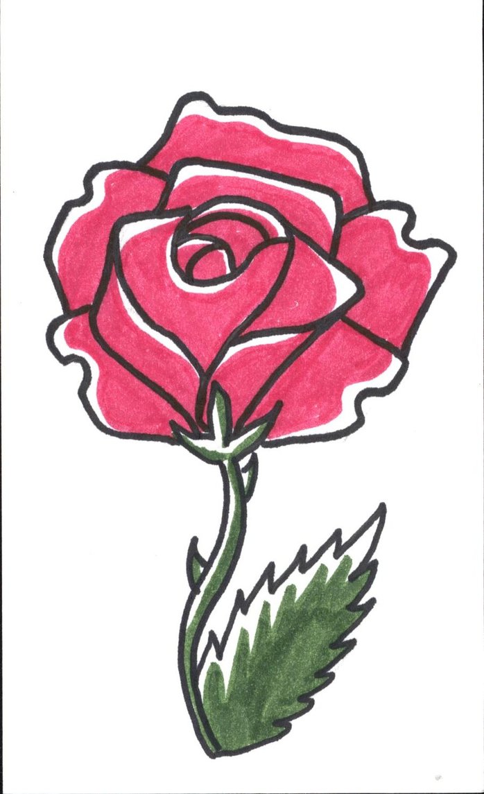 698x1145 Knumathise Rose Drawing Easy Images