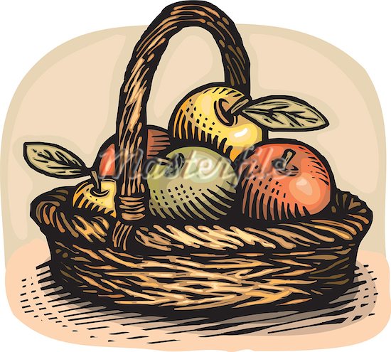 550x495 Fruit Basket Drawing