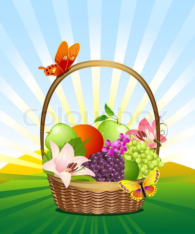667x800 Fruit Basket On The Lawn Stock Vector Colourbox