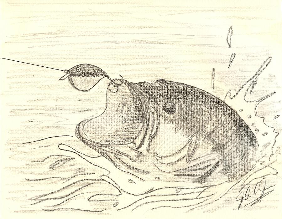 900x700 Bass Fishin Drawing By John Jones