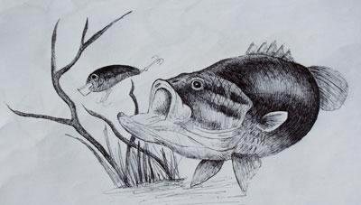 400x227 Large Mouth Bass