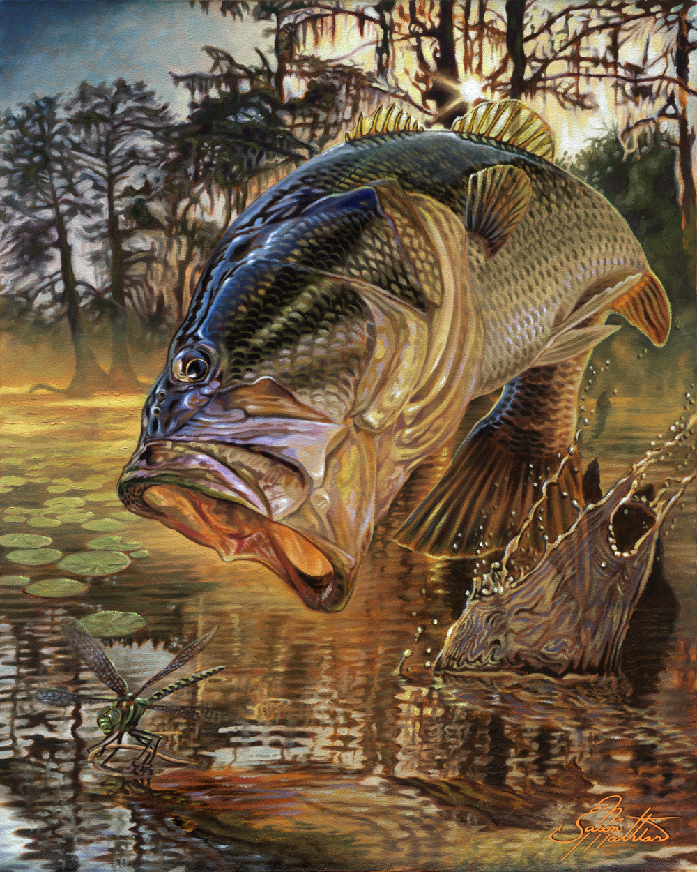 1000x1250 Largemouth Bass Artwork Paintings, Drawings, Sketches Amp Computer