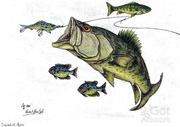 600x423 Big Bass And Bluegill Fishing Original Drawing Drawing By Gene