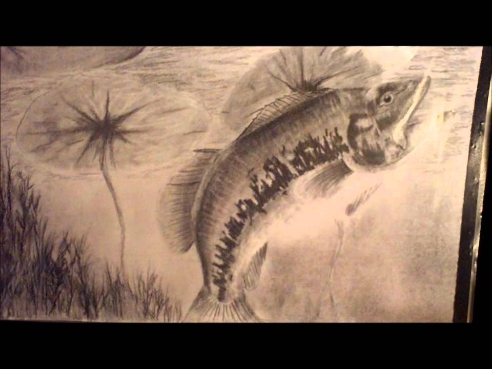 960x720 Drawing Of A Bass (Fish)