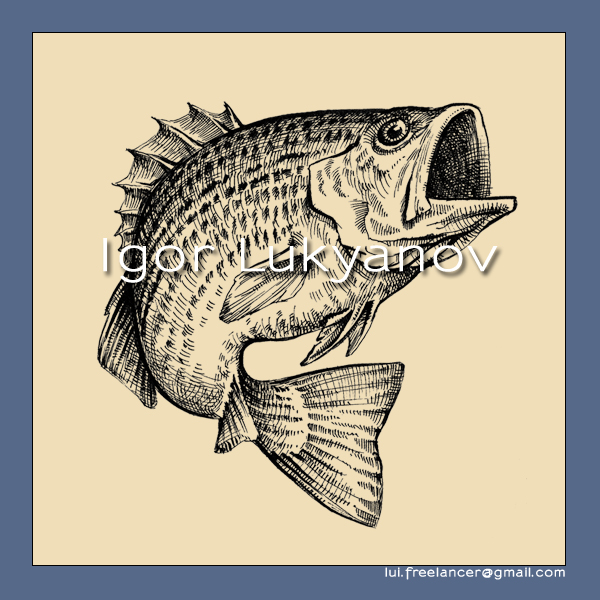 600x600 Fish Drawing (Bass)