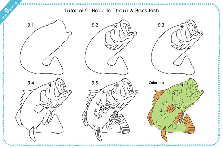 720x480 How To Draw A Fish Step By Step For Kids