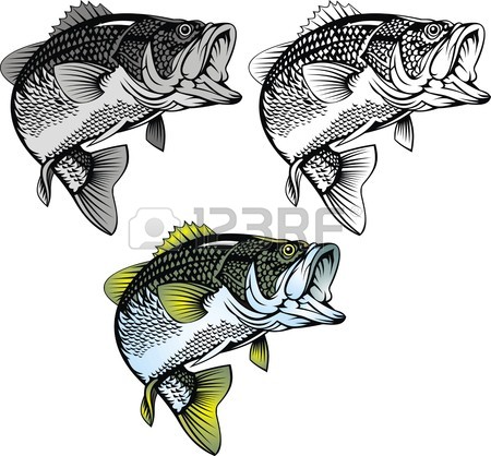 450x418 Bass Fishing Stock Photos. Royalty Free Business Images