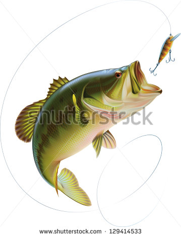 359x470 Largemouth Bass Is Catching A Bite And Jumping In Water Spray