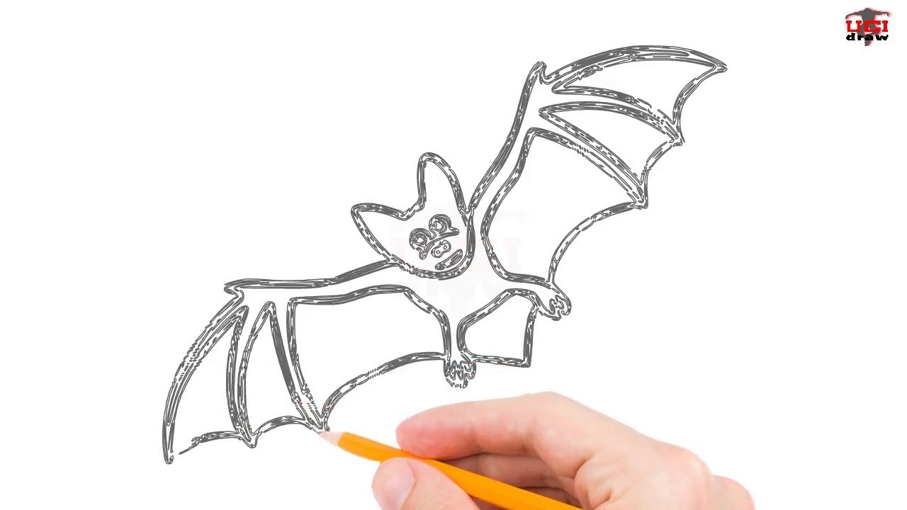 1280x720 How To Draw A Bat Step By Step Easy For Beginners Simple Bats