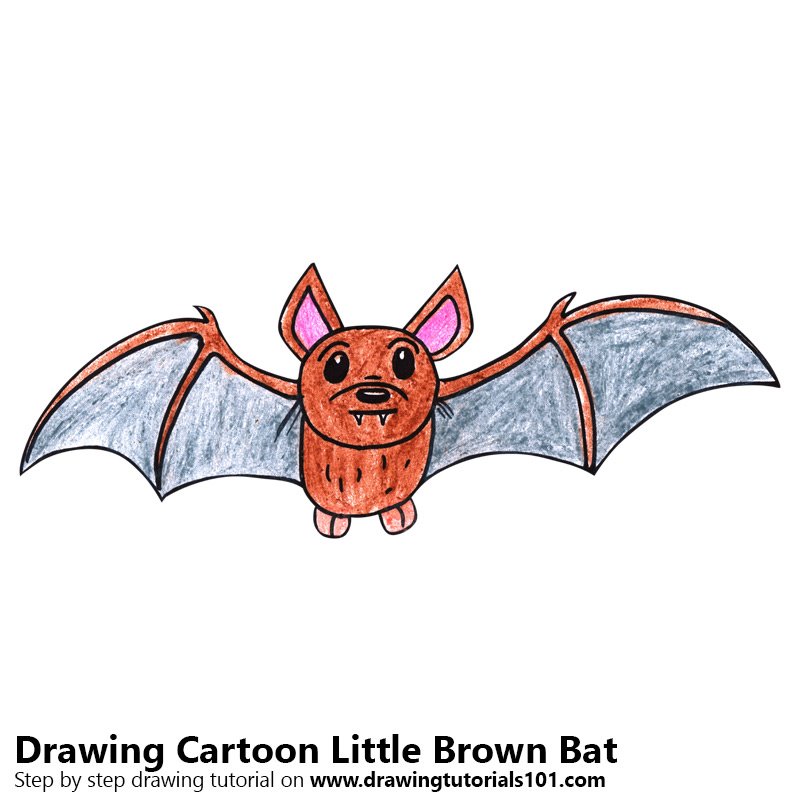 800x800 Learn How To Draw A Cartoon Little Brown Bat (Cartoon Animals