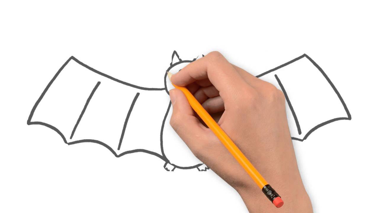 1280x720 Bat Animals Pencil To Draw Step By Step