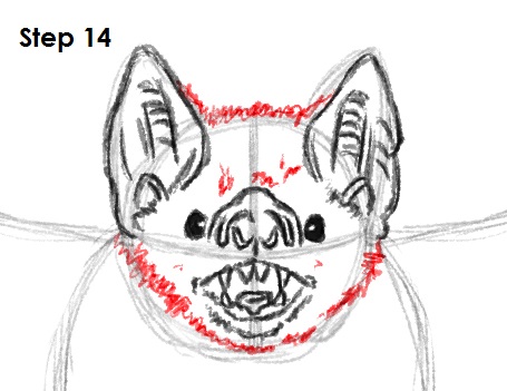 455x351 Draw Vampire Bat 14.jpg