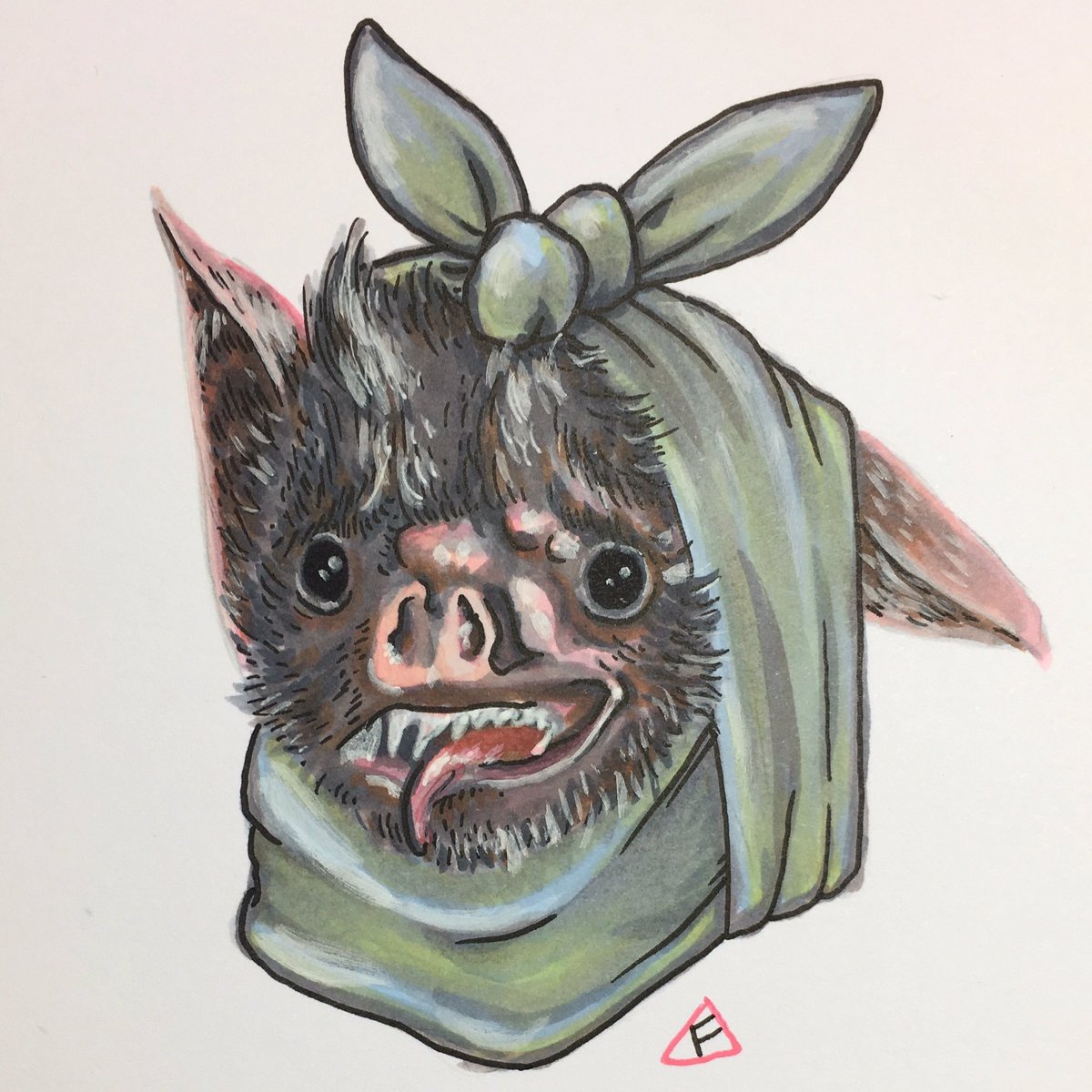 1200x1200 Josh Salmon On Twitter Bat Face Ache