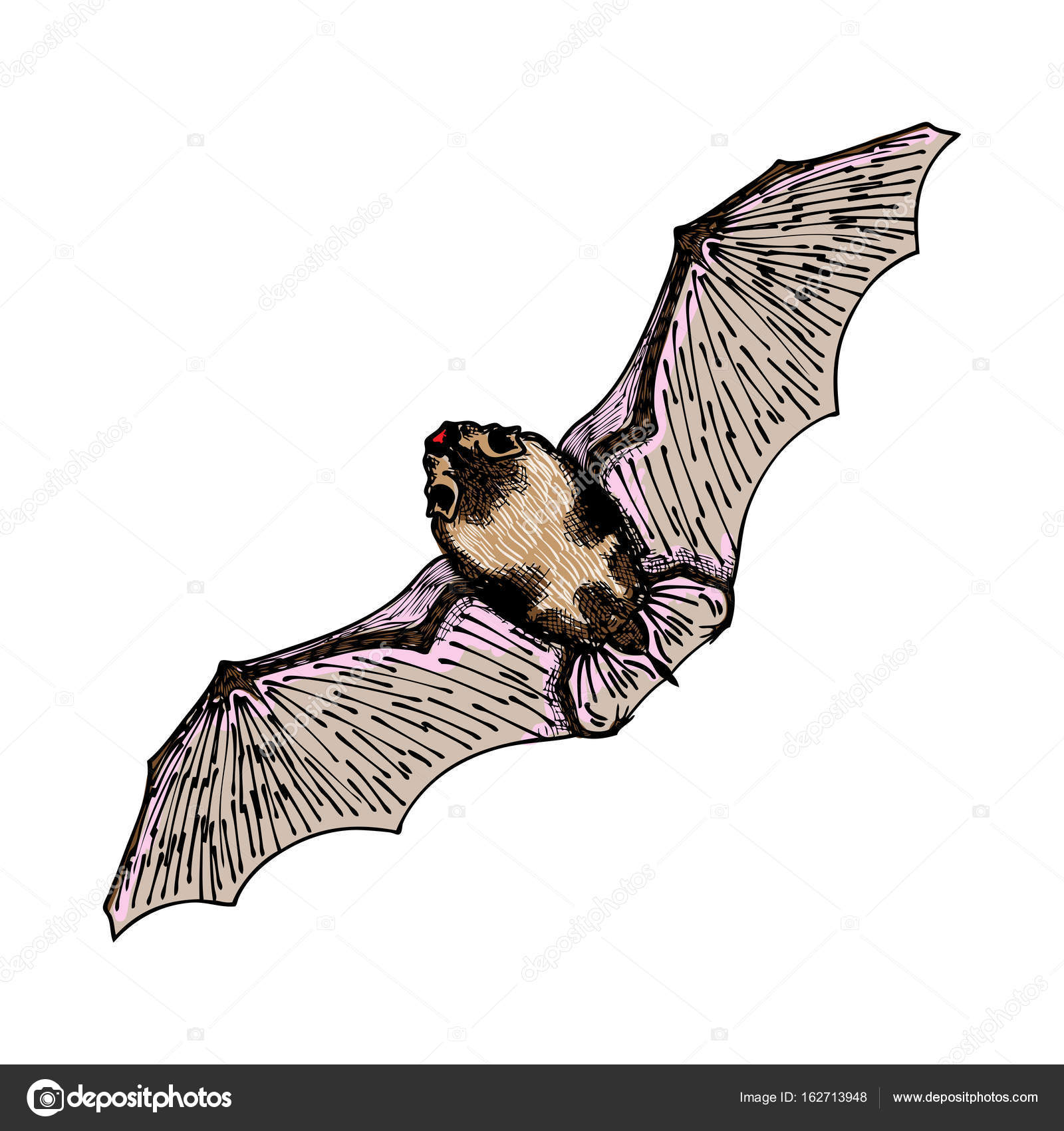 1600x1700 Stylized Hand Drawing Vampire Bat. Stock Vector Goldenshrimp