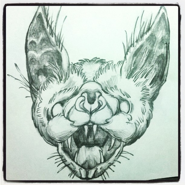 612x612 Illustrations