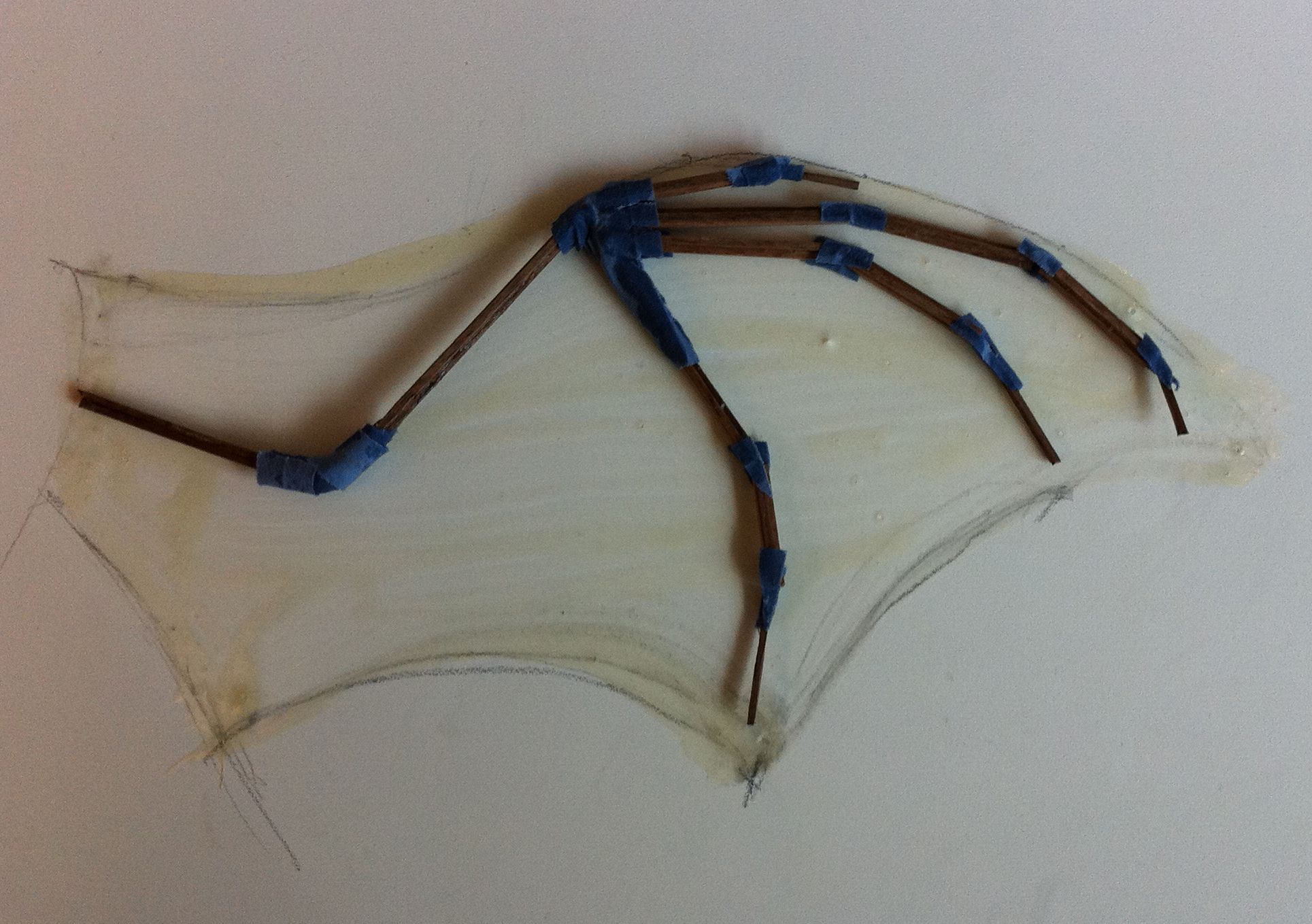 1929x1359 Bat Wings Drawing