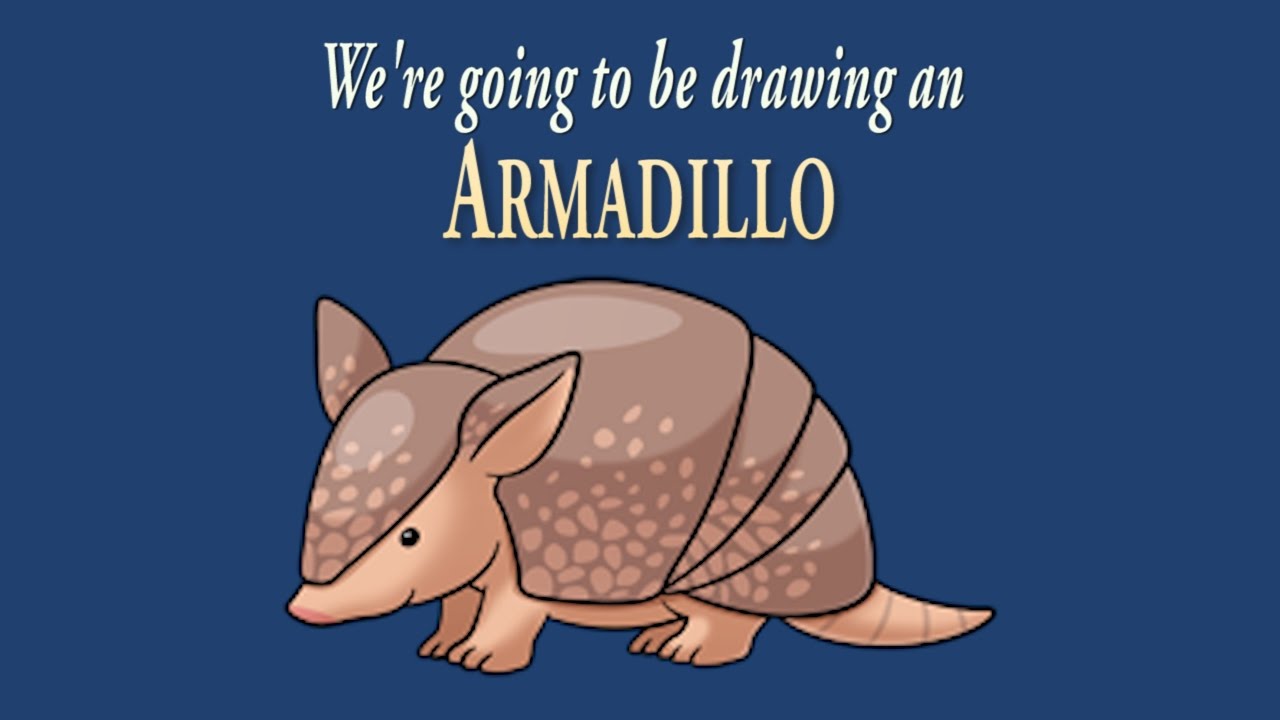 1280x720 How To Draw A Cute Little Armadillo Easy Drawing Artninja