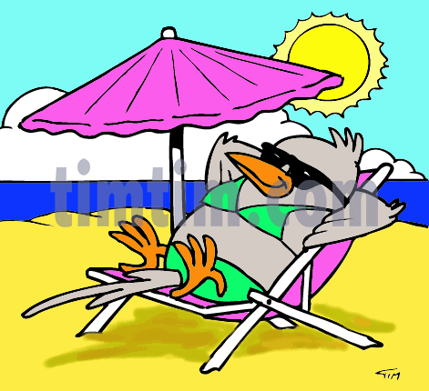 471x430 Free Drawing Of Beach Bird From The Category Holidays Tourism