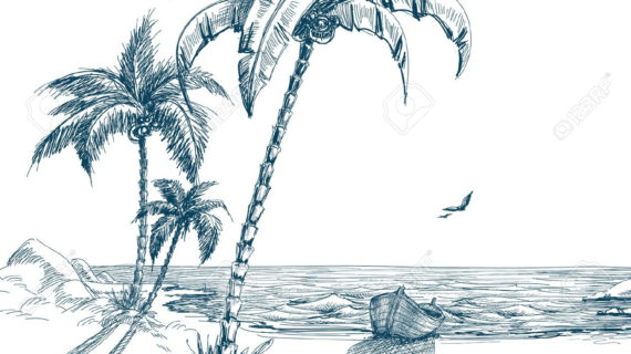 570x320 Palm Tree Beach Drawing Summer Beach With Palm Trees, Seagulls