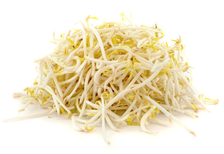 749x514 Contaminated Mung Bean Sprouts Linked To Two Deaths