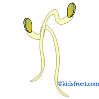 200x200 Vegetables With Pictures For Kids