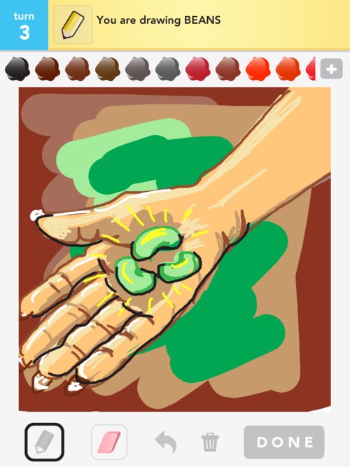500x667 Beans Drawings