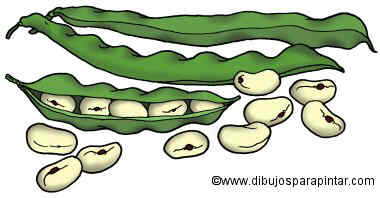 380x198 Beans Benefits