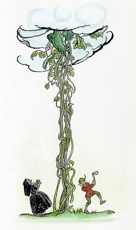 531x900 Jack And The Beanstalk Drawing By Granger