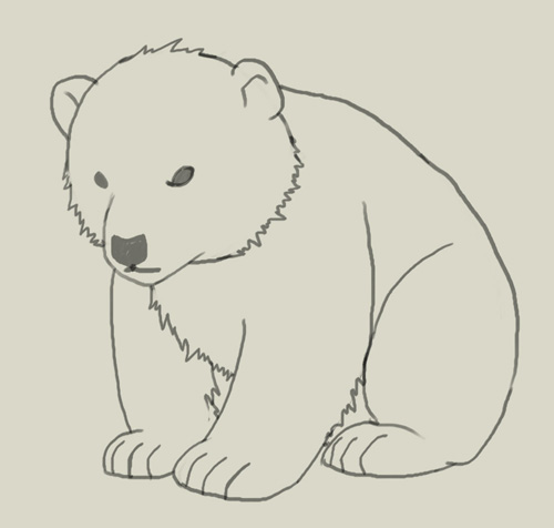 500x476 How To Draw Polar Bear Cub