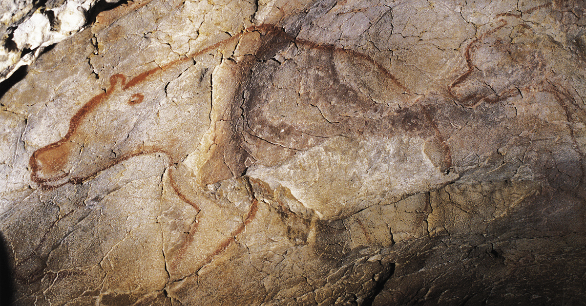 1200x628 The Red Bears