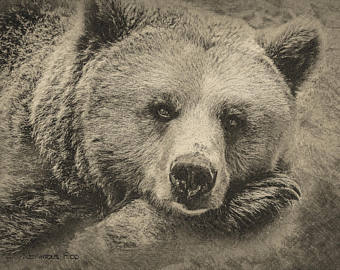 340x270 Bear Drawing Etsy