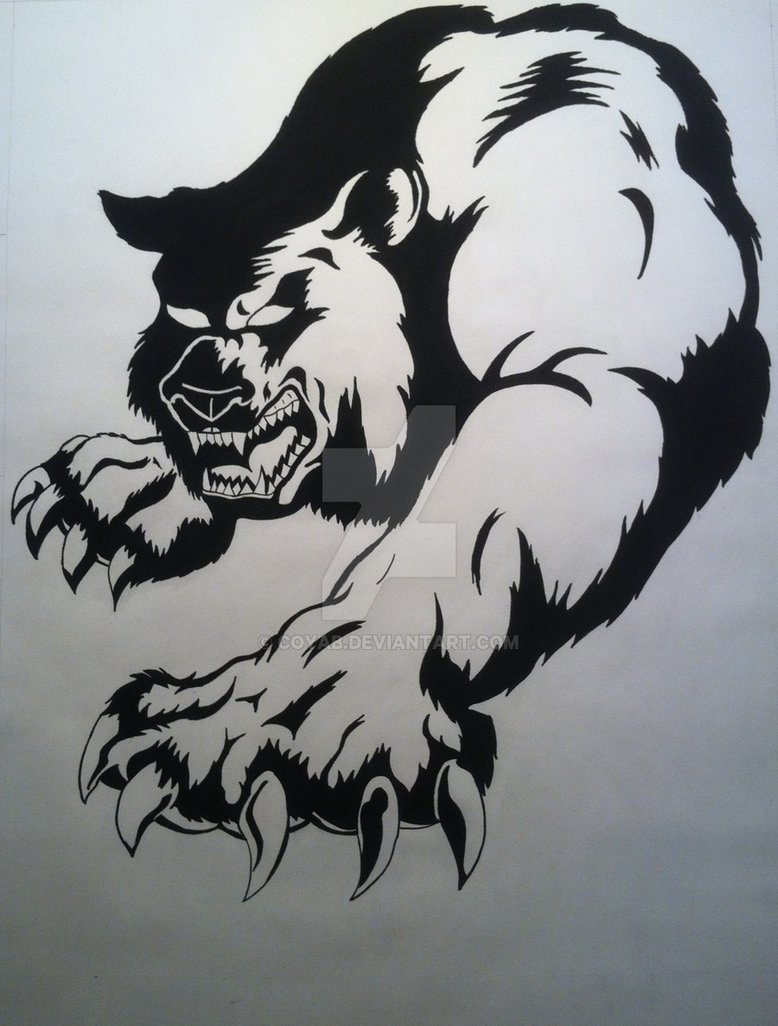 778x1026 Bear Drawing By Coyab